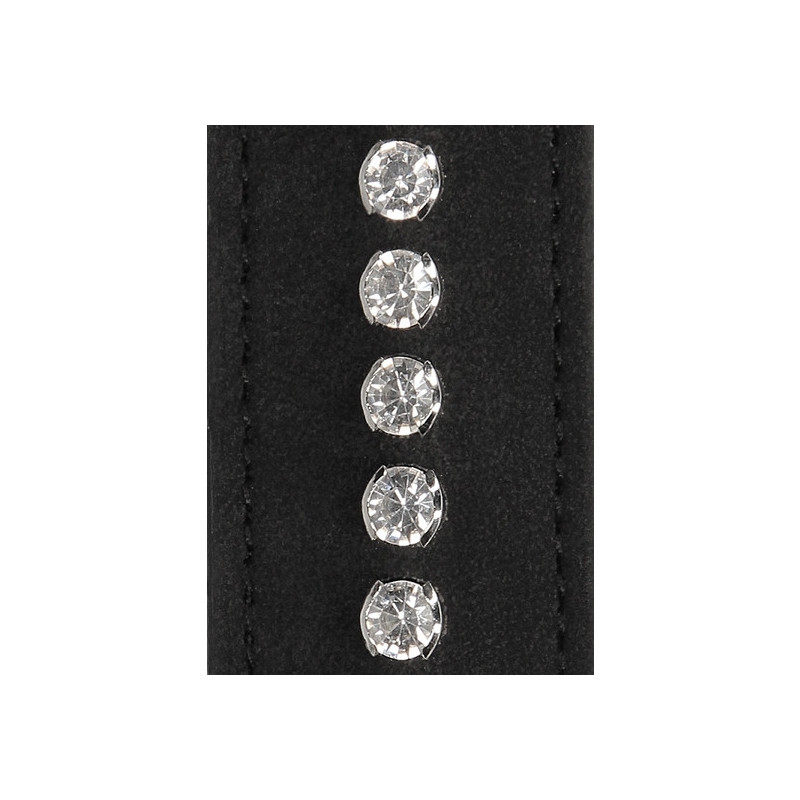LaTIGO CON TACHUELAS DE DIAMANTE NEGRO