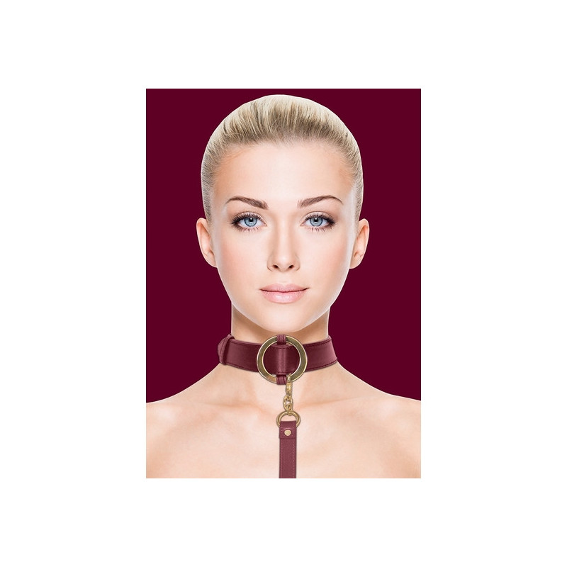 OUCH HALO COLLAR WITH LEASH BURDEOS