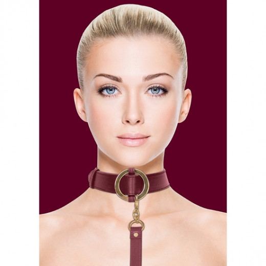 OUCH HALO COLLAR WITH LEASH BURDEOS