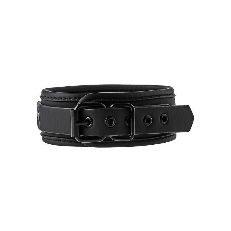 BLAZE COLLAR AND LEASH BLACK