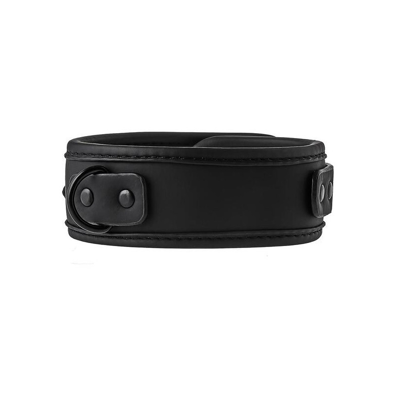 BLAZE COLLAR AND LEASH BLACK