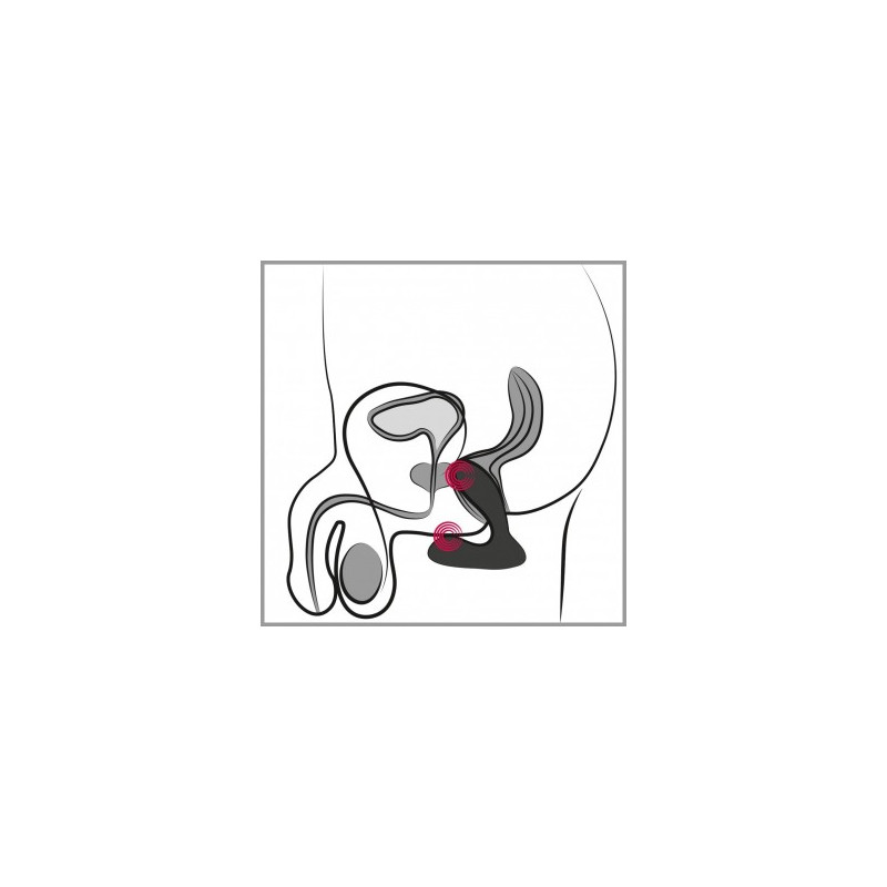 VICK NEO - Vibrador Anal Punto G - Estimulador de Próstata | SEXPLACE.ES