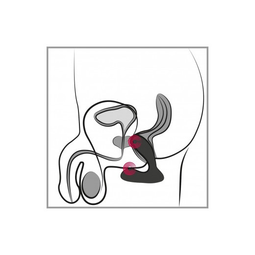 VICK NEO - Vibrador Anal Punto G - Estimulador de Próstata | SEXPLACE.ES