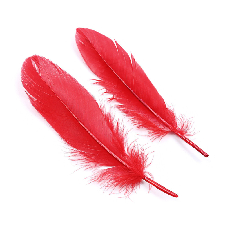 Kit Bondage Lover's Dream Rojo Crushious