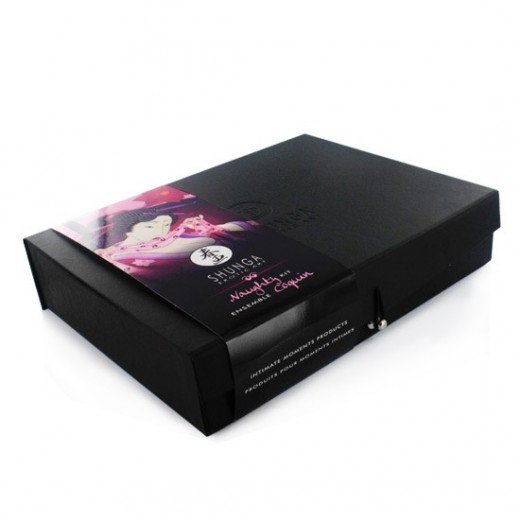 Shunga Naughty Kit Para Momentos Íntimos - Sexplace.es