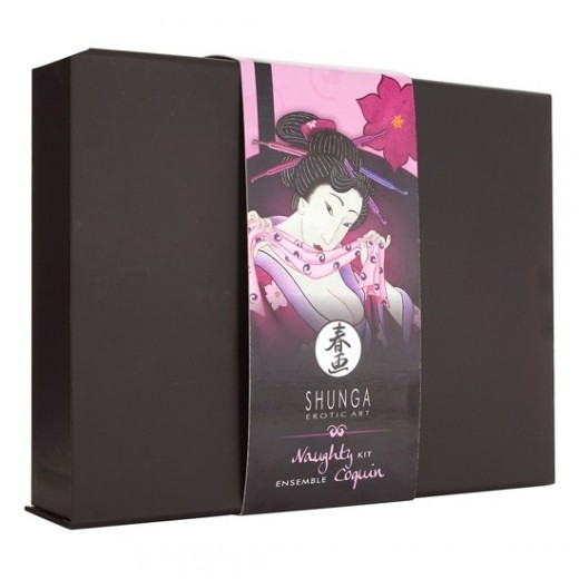Shunga Naughty Kit Para Momentos Íntimos - Sexplace.es